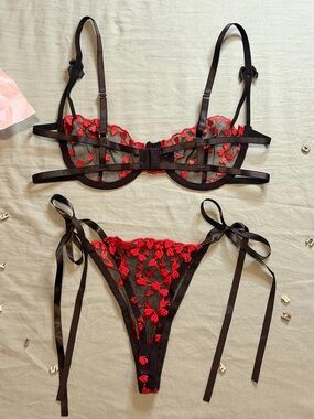 Sheer Black Lace Bra & Tie-Side Thong Set with Red Heart Embroidery